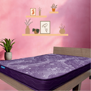 A brown leather bed frame with a white mattress sits in a bedroom with a light gray rug underneath. The bed is made with two white pillows and a white blanket. There are two framed black and white pictures on the wall behind the bed. There's a plant in a pot next to the bed. There is a small table next to the bed with a lamp, books, and other items on it. There are windows on the left side of the image with a view of a green yard. The room is modern and minimalist, with a light gray color scheme. The bed is a focal point of the room, inviting relaxation and rest.