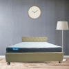 A mattress placed on a wooden frame, positioned in front of a window, allowing natural light to illuminate the scene.